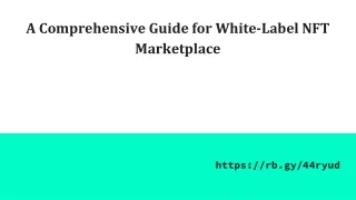 A Comprehensive Guide for White-Label NFT Marketplace