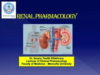 Renal pharmacology Lecture 2024 Dr. Amany