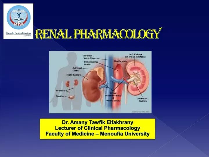 renal pharmacology