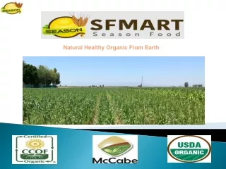 SFMart