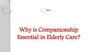 Why is Companionship Essential in Elderly Care?