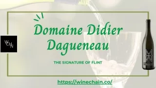 Unveiling the Secrets of Domaine Didier Dagueneau