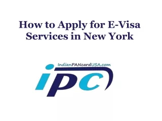 how to apply for e-visa services in new york