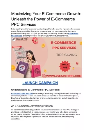 e-commerce ppc services