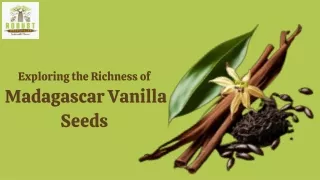 Exploring the Richness of  Madagascar Vanilla Seeds