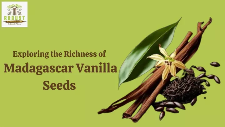 exploring the richness of madagascar vanilla seeds