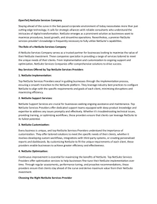 openteq netsuite services company