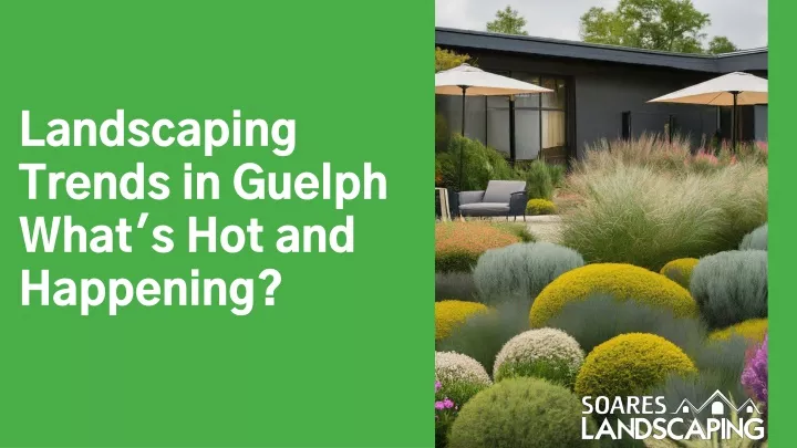 landscaping trends in guelph what