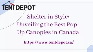 wepik-shelter-in-style-unveiling-the-best-pop-up-canopies-in-canada-20240328105652HfmM