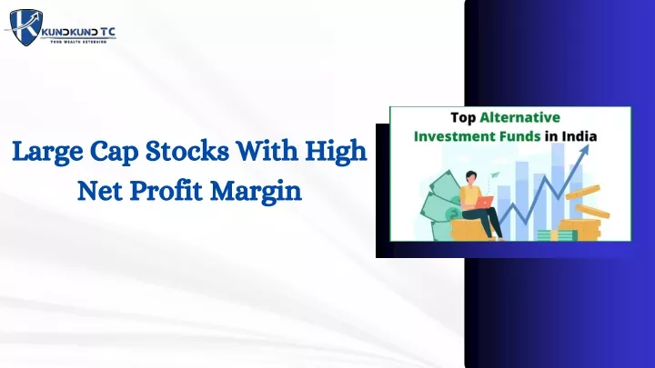 large cap stocks with high net profit margin