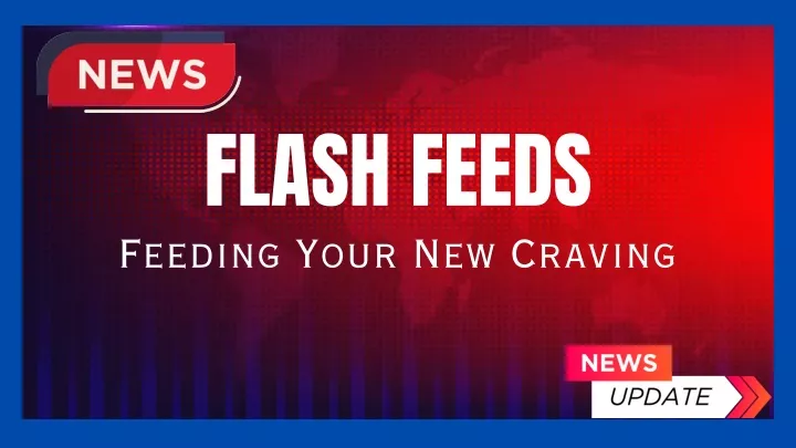 flash feeds feeding your new craving