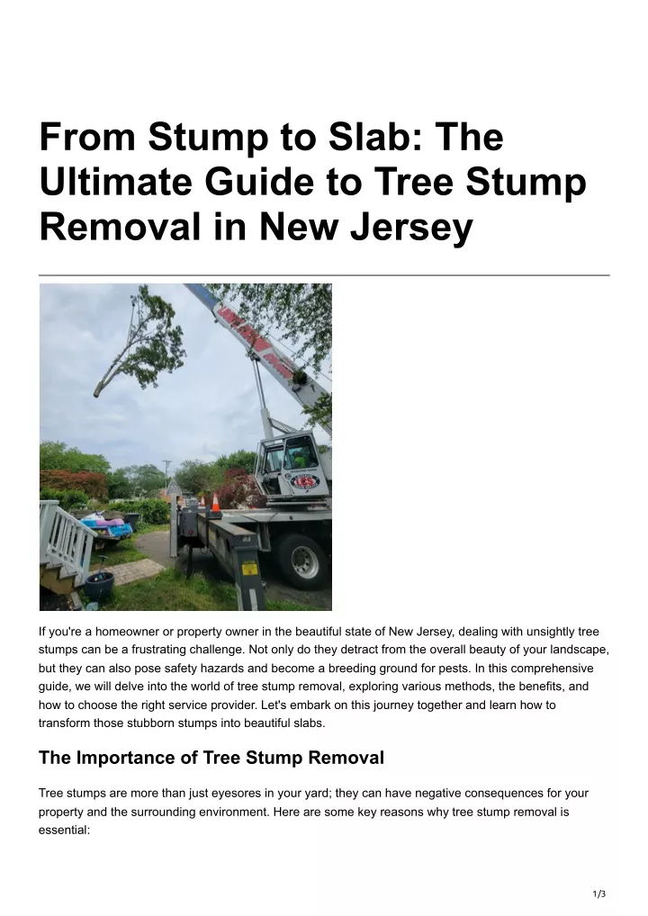 from stump to slab the ultimate guide to tree
