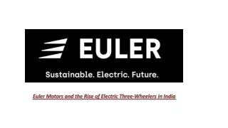 Euler Motors and the Rise of Electric Three-Wheelers in India