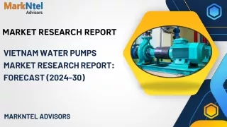 Vietnam Water Pumps Market Share, Size & Growth Analysis | 2024-30