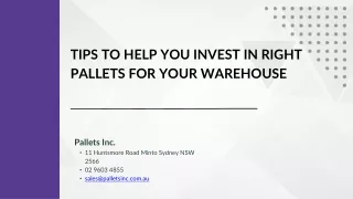 Tips To Help You Invest In Right Pallets for Your Warehouse