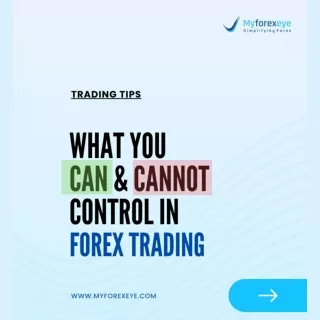 Explore the World of Forex Trading in India