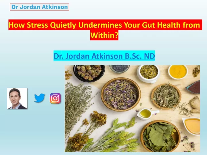 how stress quietly undermines your gut health