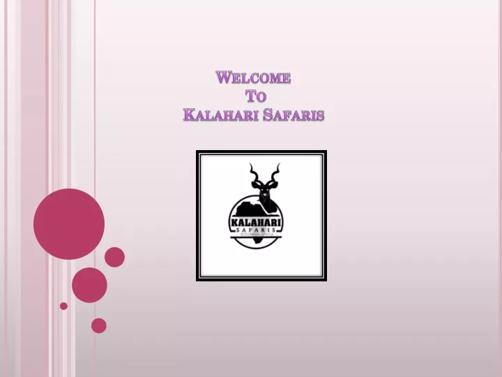 welcome to kalahari safaris