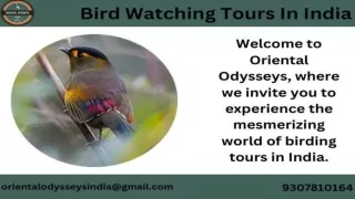 Bird Watching Tours India