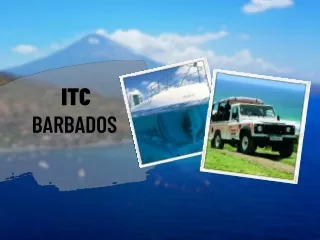 TOURS AND EXCURSIONS IN BARBADOS