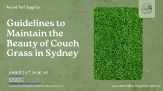 Guidelines to Maintain the Beauty of Couch Grass in Sydney
