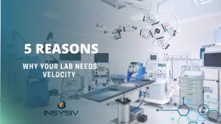 Five Reasons why Velocity is Necessary for your Lab
