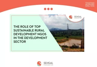 The Role Of Top Sustainable Rural Development NGOs In The Development Sector
