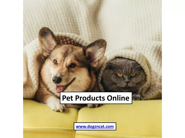 pet products online