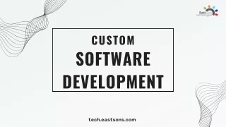 Your Vision, Our Code: Custom Software Mastery