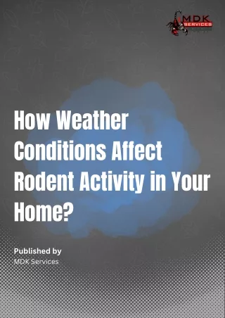 How Weather Conditions Affect Rodent Activity in Your Home