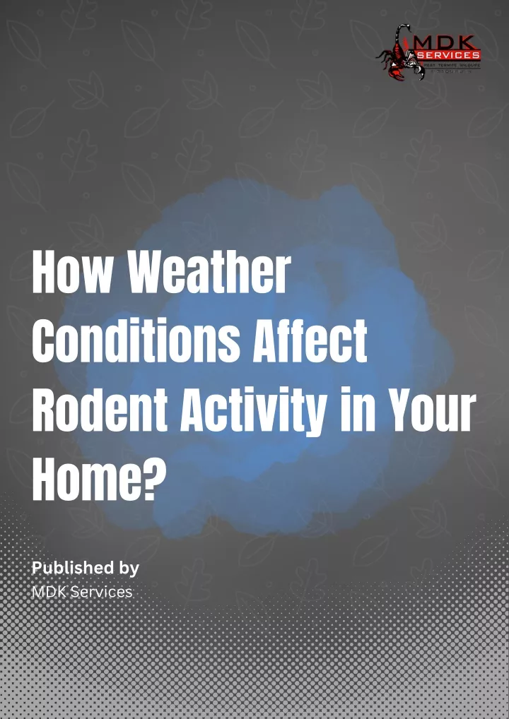 how weather conditions affect rodent activity