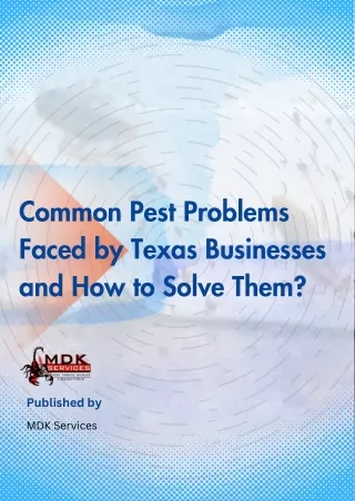 Common Pest Problems Faced by Texas Businesses and How to Solve Them