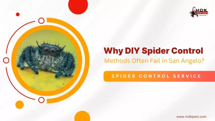 why diy spider control