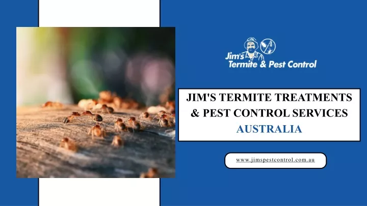 jim s termite treatments pest control services