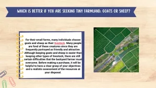Which is Better if you are Seeking Tiny farmland goats or sheep For their small farms, many individuals choose goats and