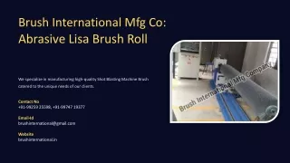 Abrasive Lisa Brush Roll, Best Abrasive Lisa Brush Roll