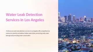 Water Leak Detection Services in Los Angeles