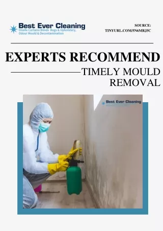 Why Do Experts Recommend Timely Mould Removal in Properties?