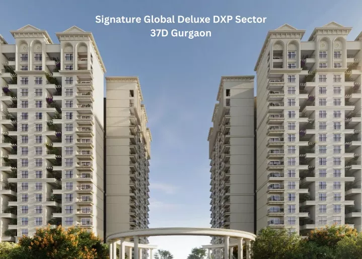 signature global deluxe dxp sector 37d gurgaon