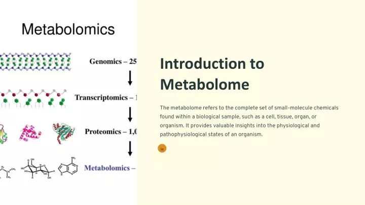 introduction to metabolome