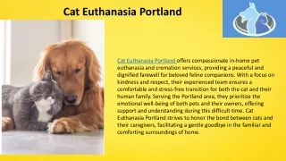 Cat Euthanasia Portland