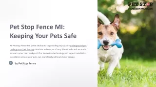 Best Underground Pet Fencing Solutions for Your Beloved Pets