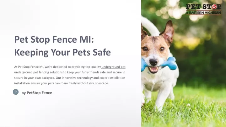 pet stop fence mi keeping your pets safe