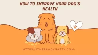 How to Improve Your Dog's Health