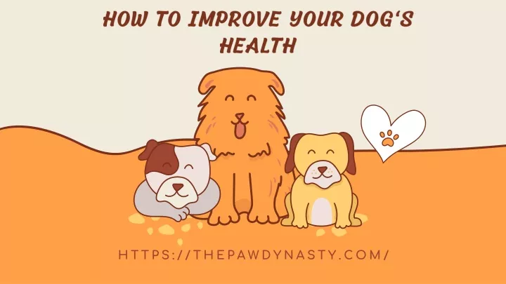 how to improve your dog s health