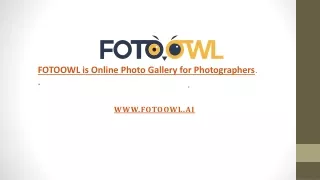 FOTOOWL is Online Photo Gallery for Photographers.