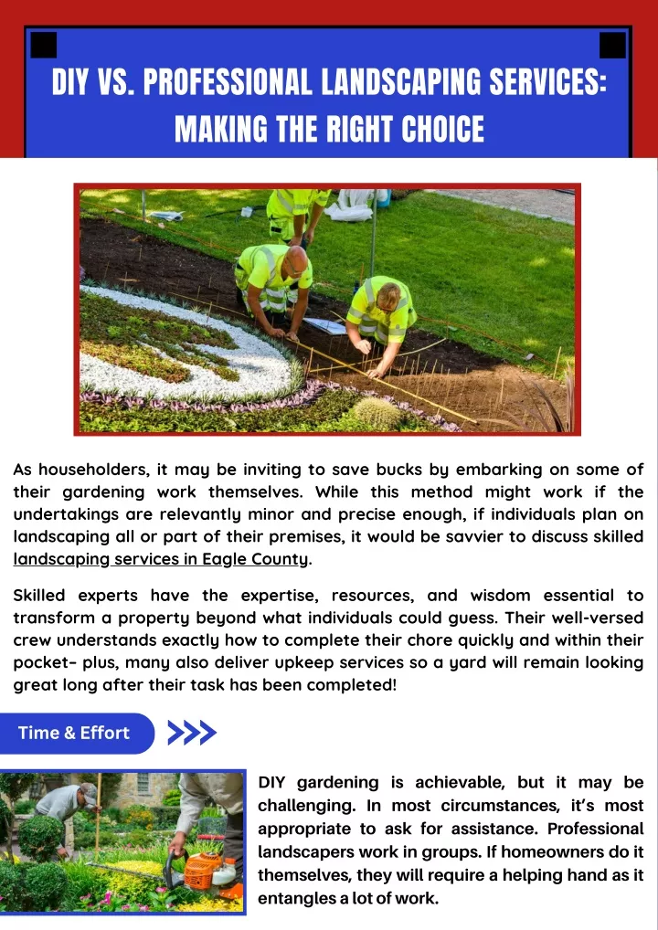 diy vs professional landscaping services making