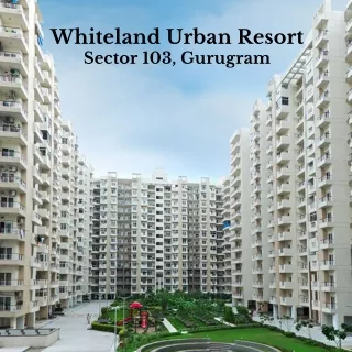 Whiteland Urban Resort Sector 103 Gurgaon - pdf
