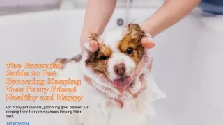 The Essential Guide to Pet Grooming Keeping Your Furry Friend Healthy and Happy