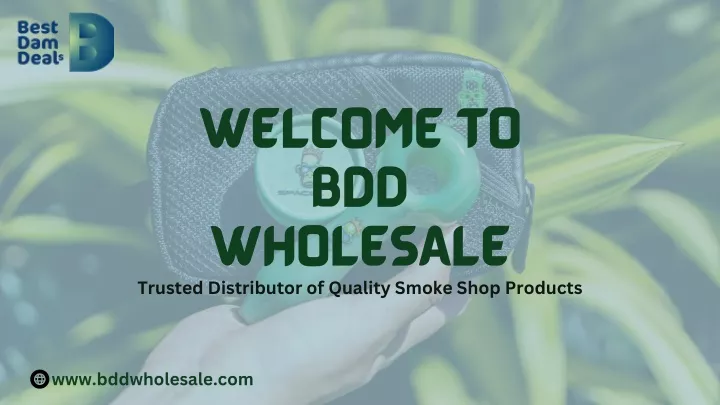 welcome to bdd wholesale